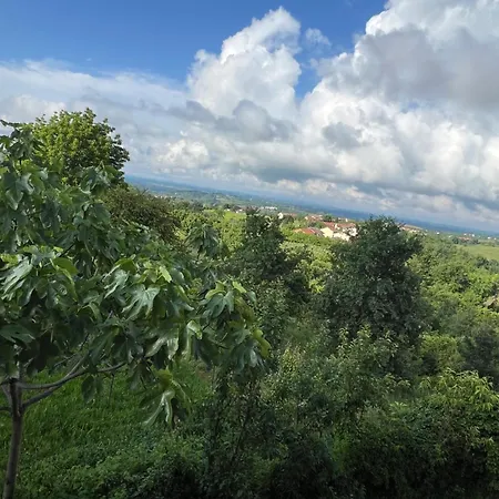 Belvedere 컨트리하우스 *