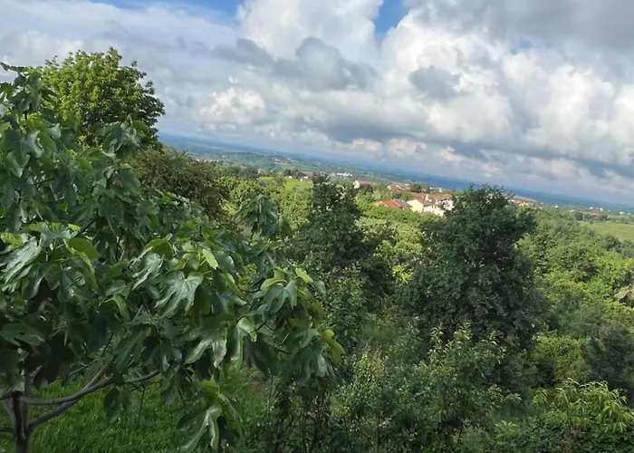 Belvedere Venkovský dům *