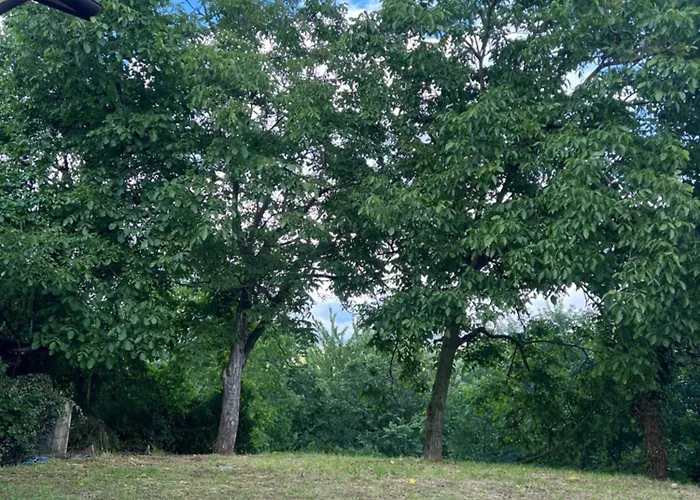 Belvedere Venkovský dům